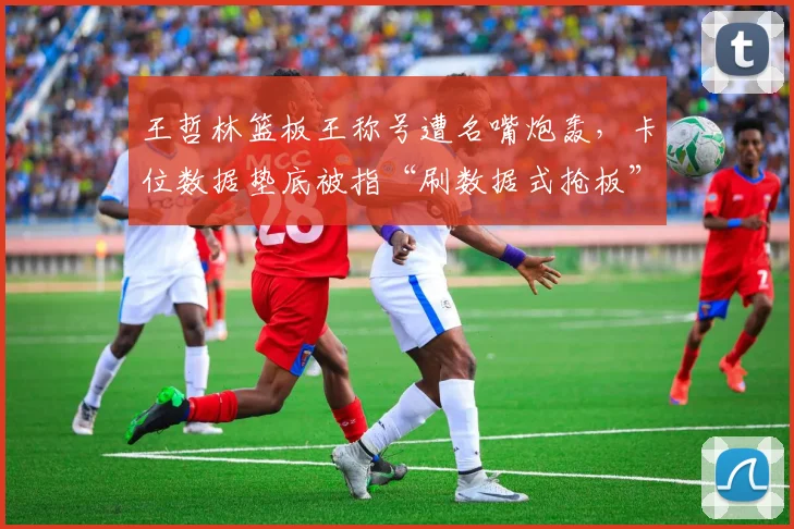 王哲林篮板王称号遭名嘴炮轰,卡位数据垫底被指“刷数据式抢板”