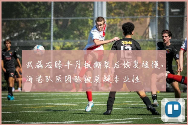 武磊右膝半月板撕裂后恢复缓慢,海港队医团队被质疑专业性